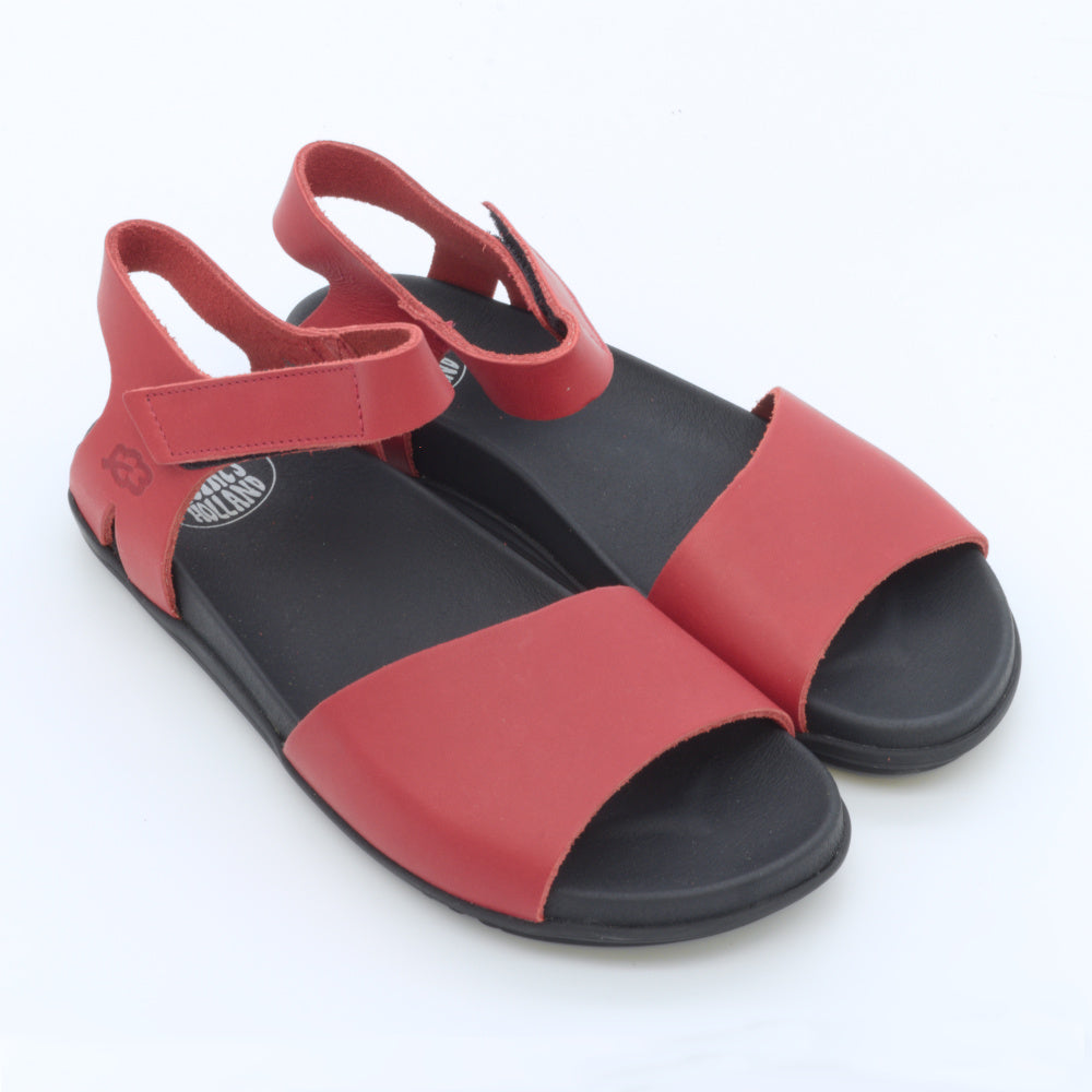 SANDALE SANDPEPPER