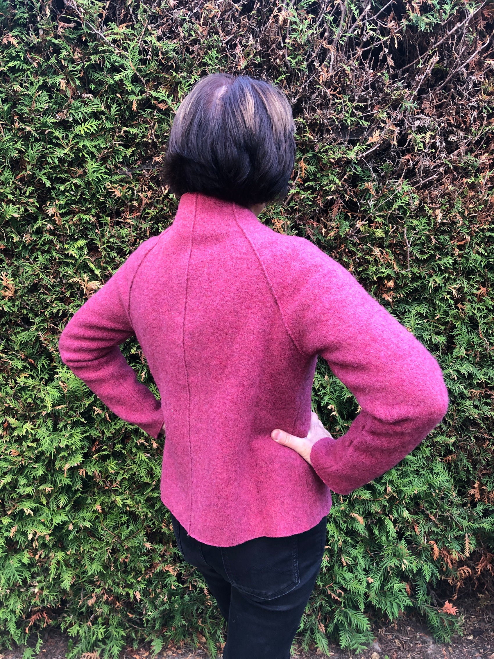 JACKE JANIN I WOLLWALK - clematis-rot